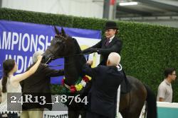 24R13_18764 thumbnail