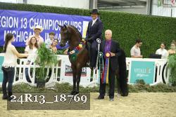 24R13_18769 thumbnail