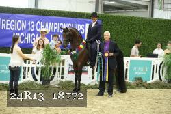 24R13_18772 thumbnail