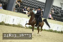 24R13_18773 thumbnail