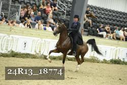 24R13_18774 thumbnail