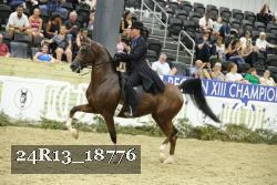 24R13_18776 thumbnail