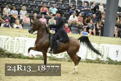 24R13_18777 thumbnail