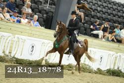 24R13_18778 thumbnail