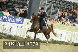 24R13_18779 thumbnail