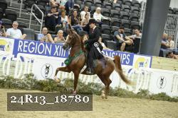 24R13_18780 thumbnail
