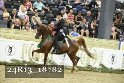 24R13_18782 thumbnail
