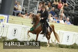 24R13_18783 thumbnail