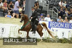 24R13_18785 thumbnail