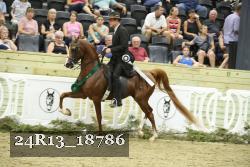 24R13_18786 thumbnail