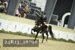 24R13_18790 thumbnail