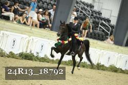 24R13_18792 thumbnail