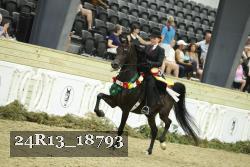 24R13_18793 thumbnail