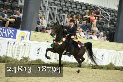 24R13_18794 thumbnail