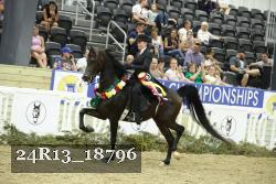 24R13_18796 thumbnail
