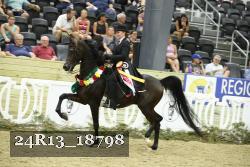 24R13_18798 thumbnail