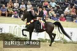 24R13_18802 thumbnail