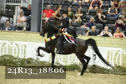 24R13_18806 thumbnail