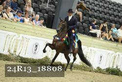24R13_18808 thumbnail