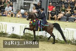 24R13_18816 thumbnail