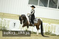 24R13_18834 thumbnail
