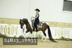 24R13_18835 thumbnail