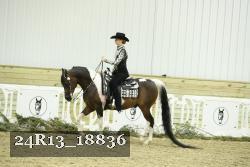 24R13_18836 thumbnail