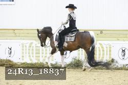 24R13_18837 thumbnail