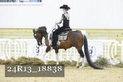 24R13_18838 thumbnail