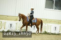 24R13_18839 thumbnail