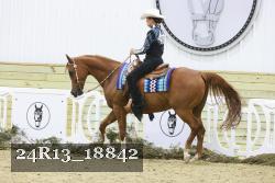 24R13_18842 thumbnail