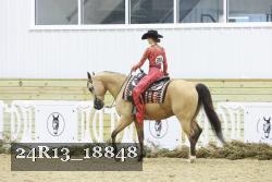24R13_18848 thumbnail