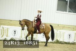 24R13_18851 thumbnail