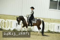 24R13_18871 thumbnail