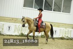 24R13_18880 thumbnail