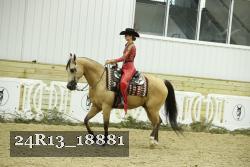 24R13_18881 thumbnail