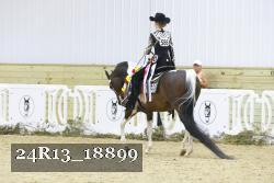 24R13_18899 thumbnail