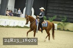 24R13_18929 thumbnail