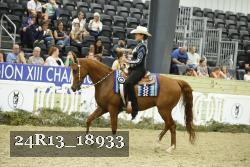24R13_18933 thumbnail