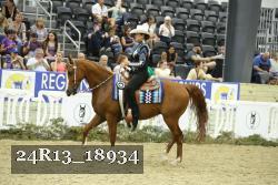24R13_18934 thumbnail