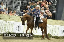 24R13_18936 thumbnail