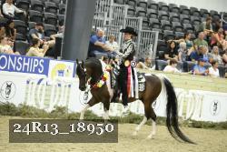 24R13_18950 thumbnail