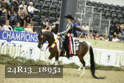 24R13_18951 thumbnail