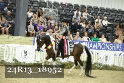 24R13_18952 thumbnail