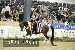 24R13_18953 thumbnail