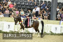 24R13_18955 thumbnail