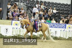 24R13_18959 thumbnail