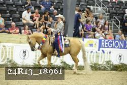 24R13_18961 thumbnail