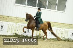 24R13_18969 thumbnail