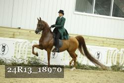 24R13_18970 thumbnail